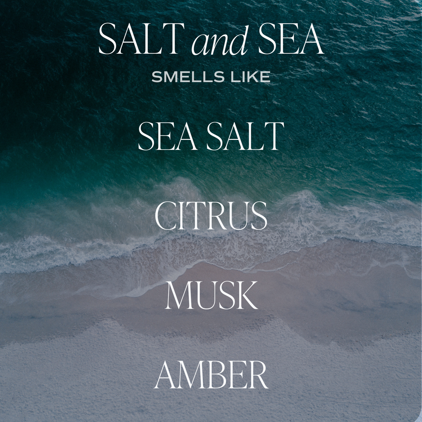 SALT & SEA HANGING AIR FRESHENER