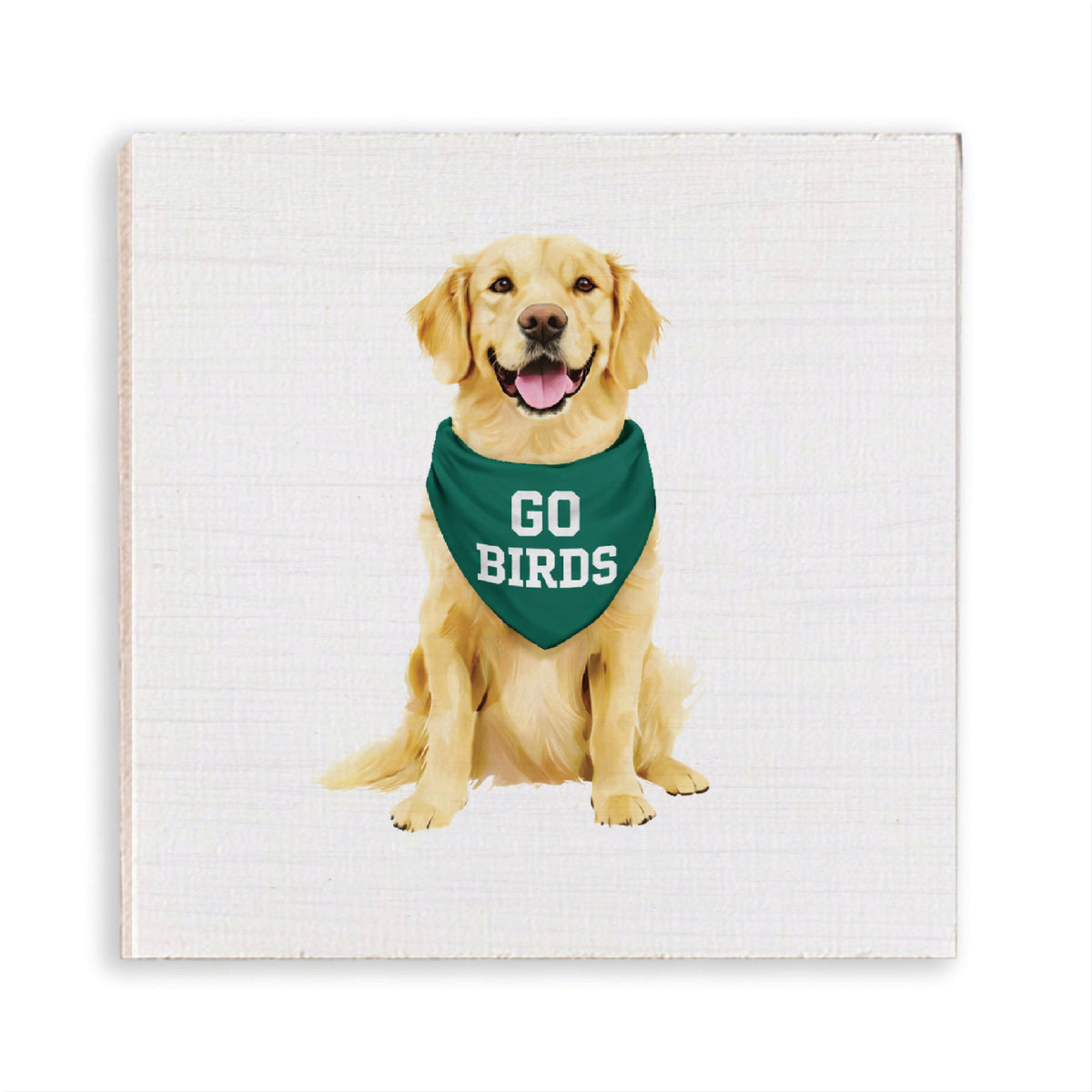 PHILLY DOG GO BIRDS FRIDGE MAGNET